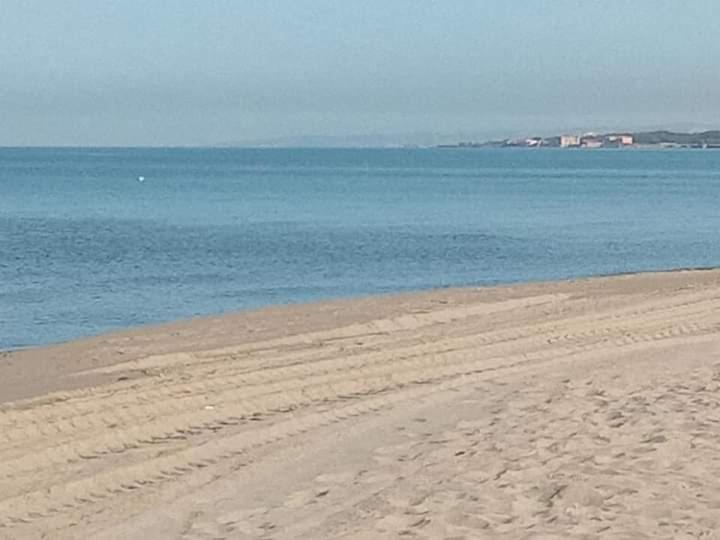 La Bouganville Passoscuro Bagian luar foto